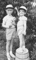Suzanne's Fruit Farm